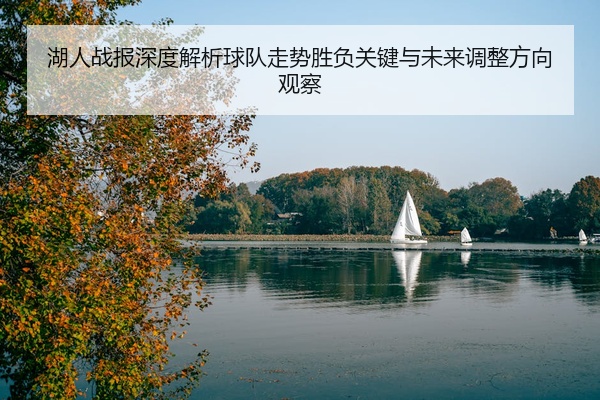 湖人战报深度解析球队走势胜负关键与未来调整方向观察