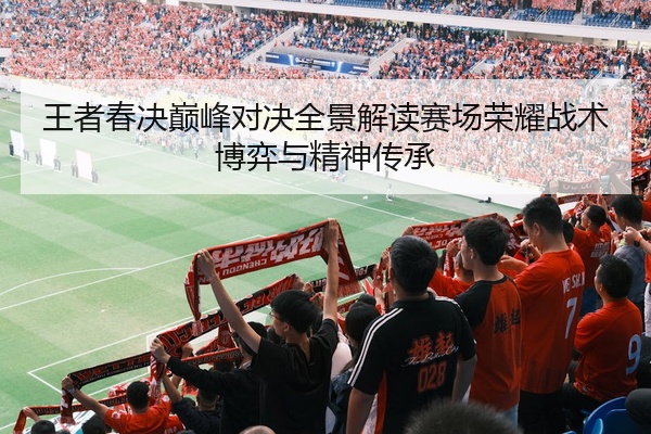 王者春决巅峰对决全景解读赛场荣耀战术博弈与精神传承