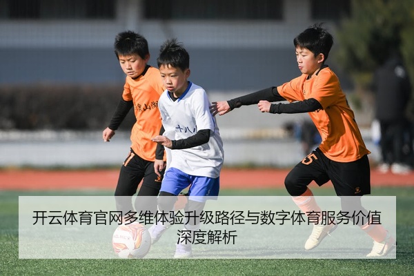 开云体育官网多维体验升级路径与数字体育服务价值深度解析