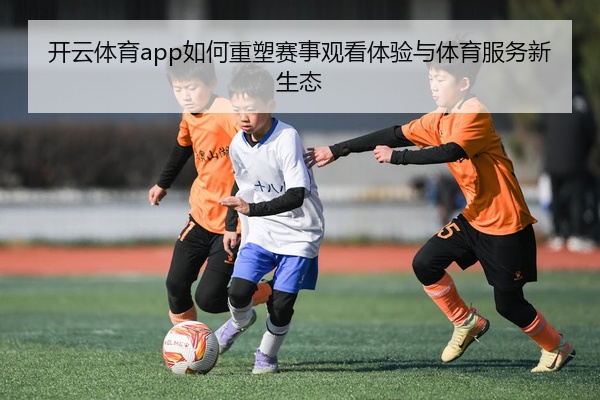 开云体育app如何重塑赛事观看体验与体育服务新生态